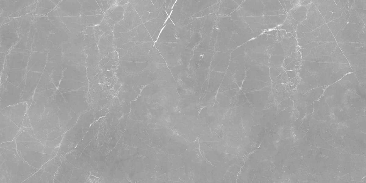 Керамогранит Ocean Ceramic Iran Arion Gray Dark 59.7х119.7 20 мм